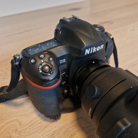 D5 Nikon