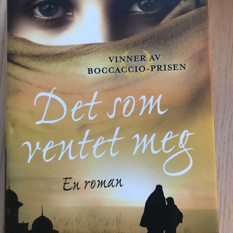 Det som ventet meg