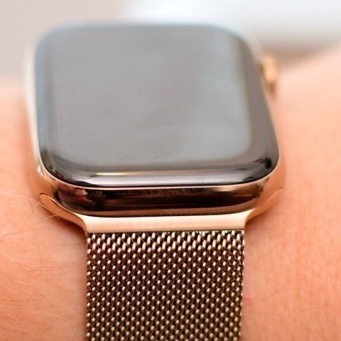 Apple Watch Stainless Steel Gold  (series 5)