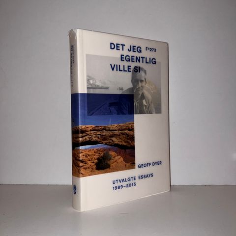 Det jeg egentlig ville si. Utvalgte essays 1989-2015 - Geoff Dyer. 2016