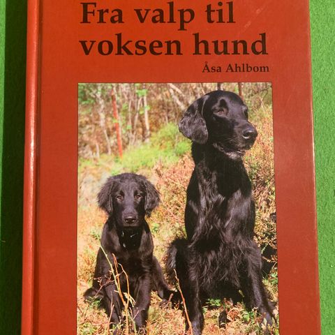 Åsa Ahlbom - Fra valp til voksen hund (2001)