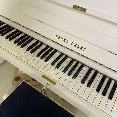 Piano YOUNG CHANG