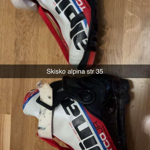 ALPINA TSK SKISKO SKØYTING