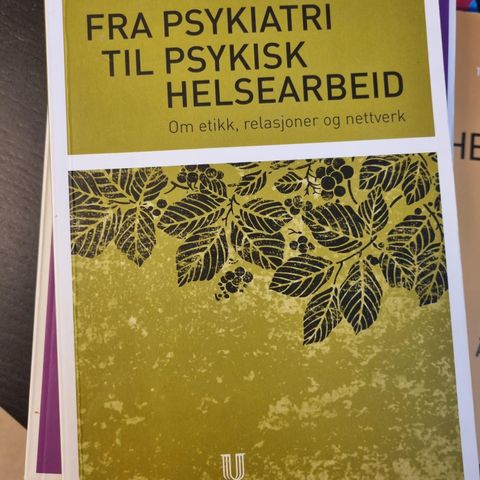 Fra Psykiatri til psykisk helsearbeid, Bøe & Thomassen