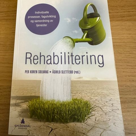 Rehabilitering. Per Koren Solvang og Åshild Slettebø.