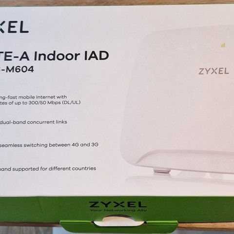 Ice Zyxel LTE3316-M604 router