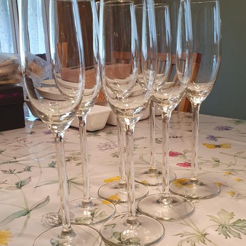 Høye Champagne glass (7stk)