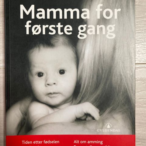 Bok Mamma for første gang