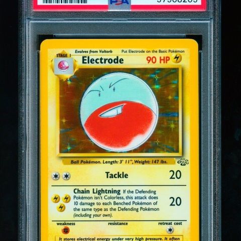 Pokemon - Jungle - Electrode - Holo Unlimited - PSA 9 - Ønskes kjøpt!