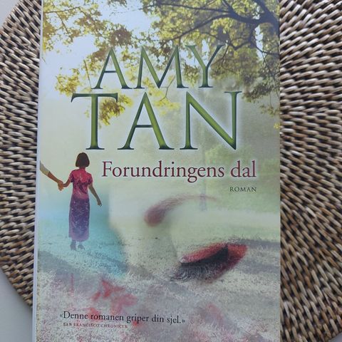 Forundringens dal - roman
Av Amy Tan
