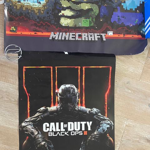 Poster / plakat Call of Duty og Minecraft