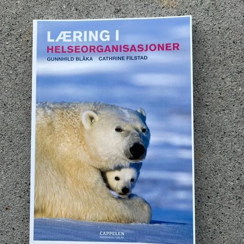 Læring i helseorganisasjoner