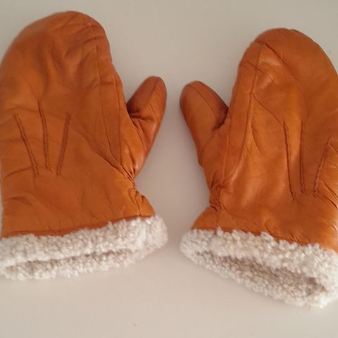 Hestra Sundborn votter/gloves!