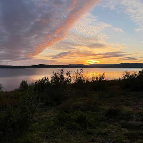 Rypejakt i Troms og Finnmark