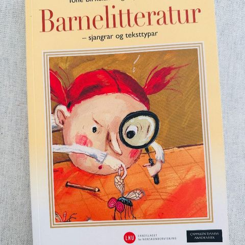 Pensum bøker til barnehagelærerutdanningen