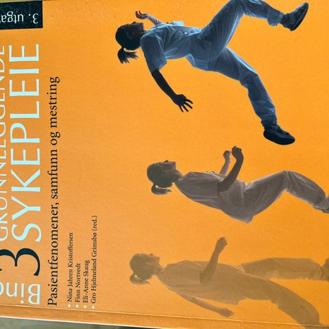 Grunnleggende sykepleie bind 3