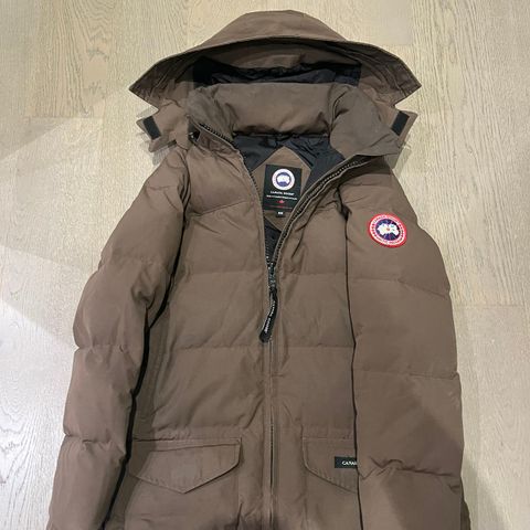 canada goose