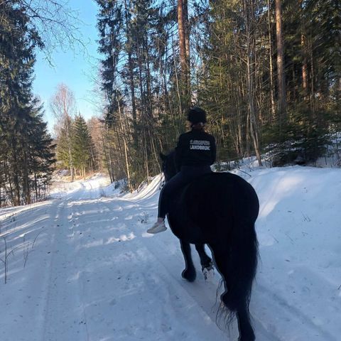 Trenger hesten din en rytter?