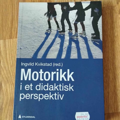 Motorikk i et didaktisk perspektiv