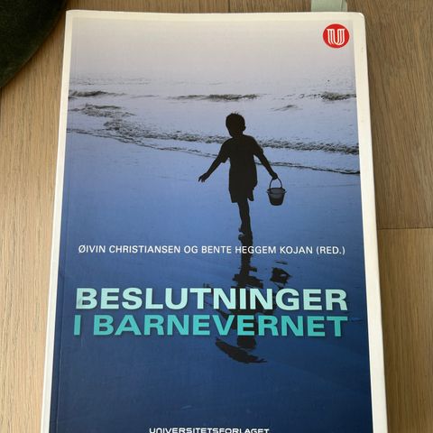 Beslutninger i barnevernet - Øivin Christiansen, Bente Heggem