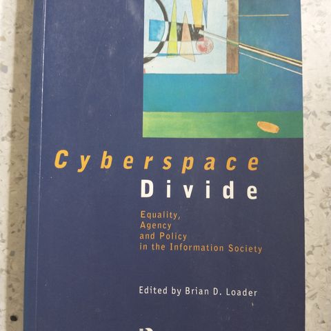 Cyberspace divide