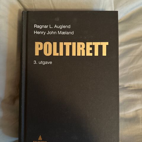 Politirett