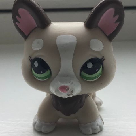 LPS walkables Corgi Puppy Nr.2311