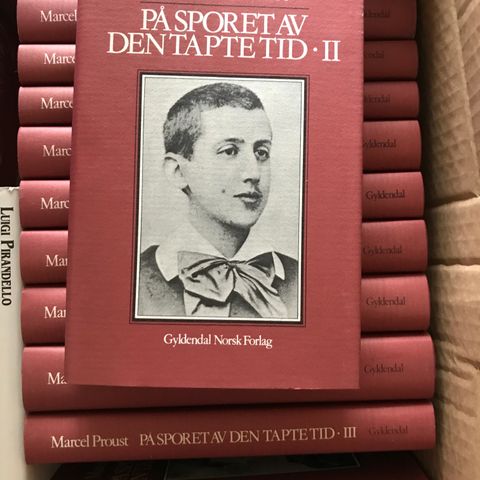 På sporet av den tapte tid av Marcel Proust