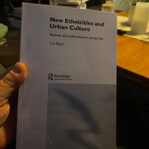 New Ethnicities And Urban Culture