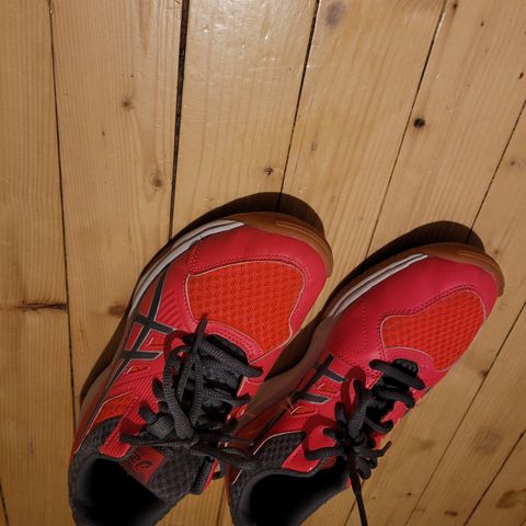 Lite brukt asics hallsko str 37.5 til jente selges