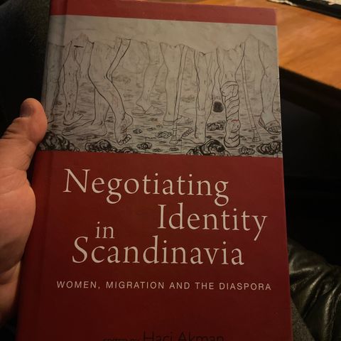 Negotiating Identity in Scandinavia