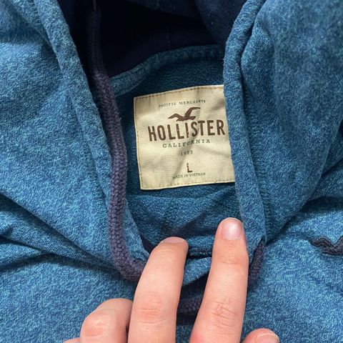 Tynn Hollister hettegenser