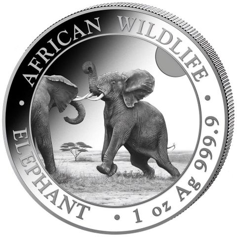 Somalia 2024 ELEPHANT - 1 OZ SØLV AFRICAN WILDLIFE