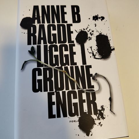 Anne B Ragde - Ligge i grønne enger