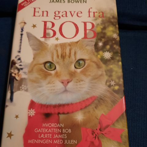 Gate katten Bob