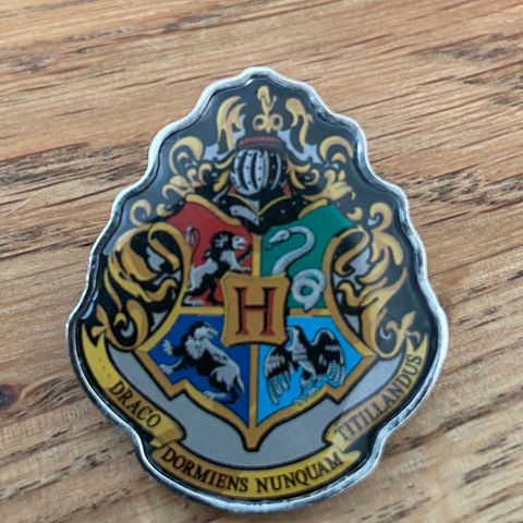 Harry potter pin