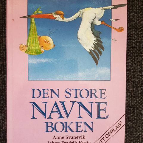 Den store navneboken  Av  Anne Svanevik, Johan Fredrik Køste,