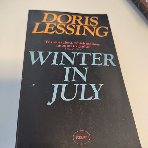 Doris Lessing - Winter in july