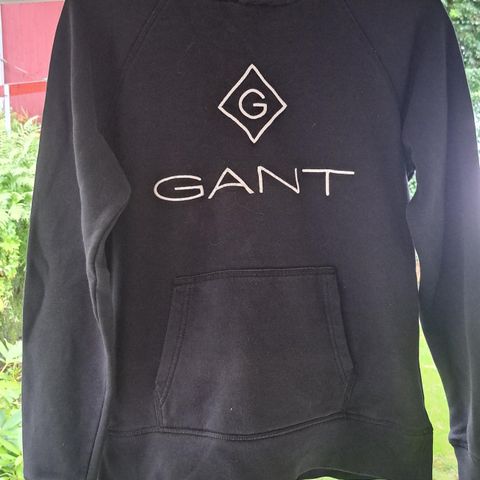 Gant genser