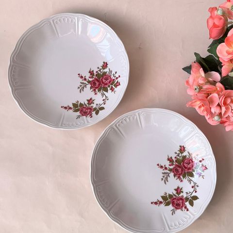 2X nydelige skåler fra Wunsiedel Bavaria Porcelain