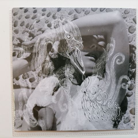 Bjork - Vespertine - cd