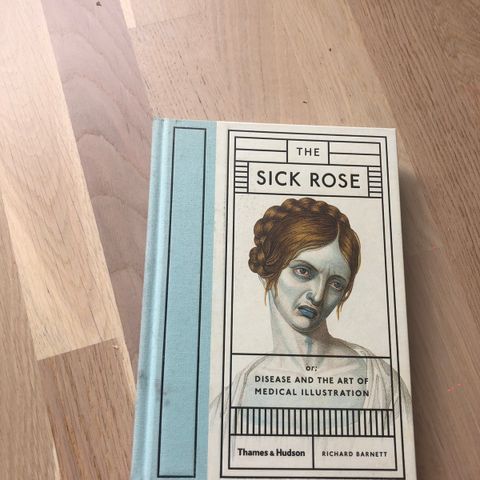 Sick Rose: disease and the art of medical illustrations