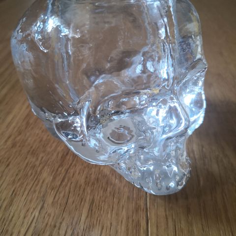 Kosta Boda skull