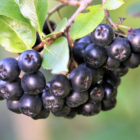 Annonsebilde