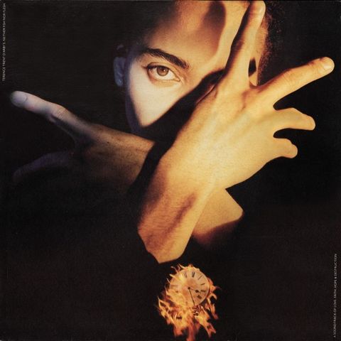 Terence Trent D'Arby – Terence Trent D'Arby's Neither Fish Nor Flesh  ( LP,1989)