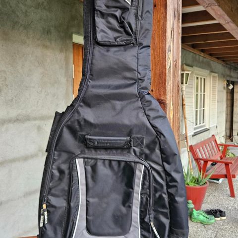 Guitar bag / Road bag