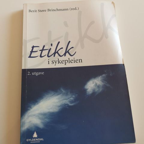 Etikk i sykepleien