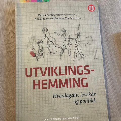 Utviklingshemning hverdagsliv, levekår og politikk