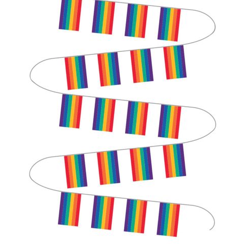 24 x regnbue buntflagg (verdi 3600)