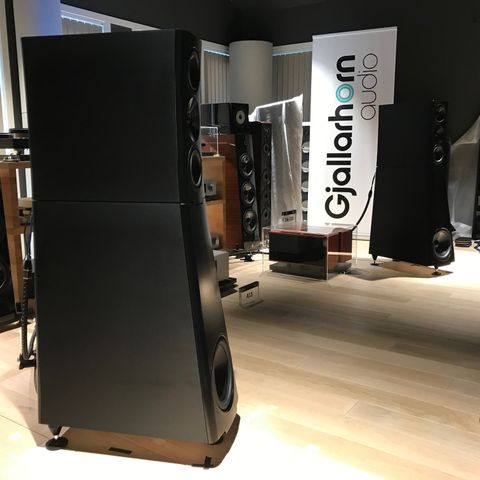 YG Acoustics Sonja 2.2 (demopar)